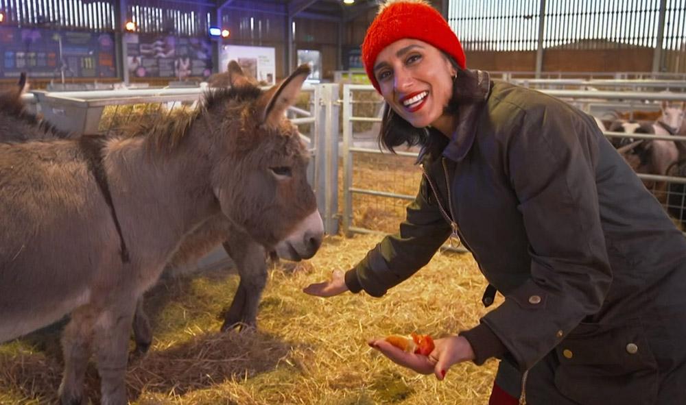 BBC Countryfile Christmas in the Park comes to Malmesbury