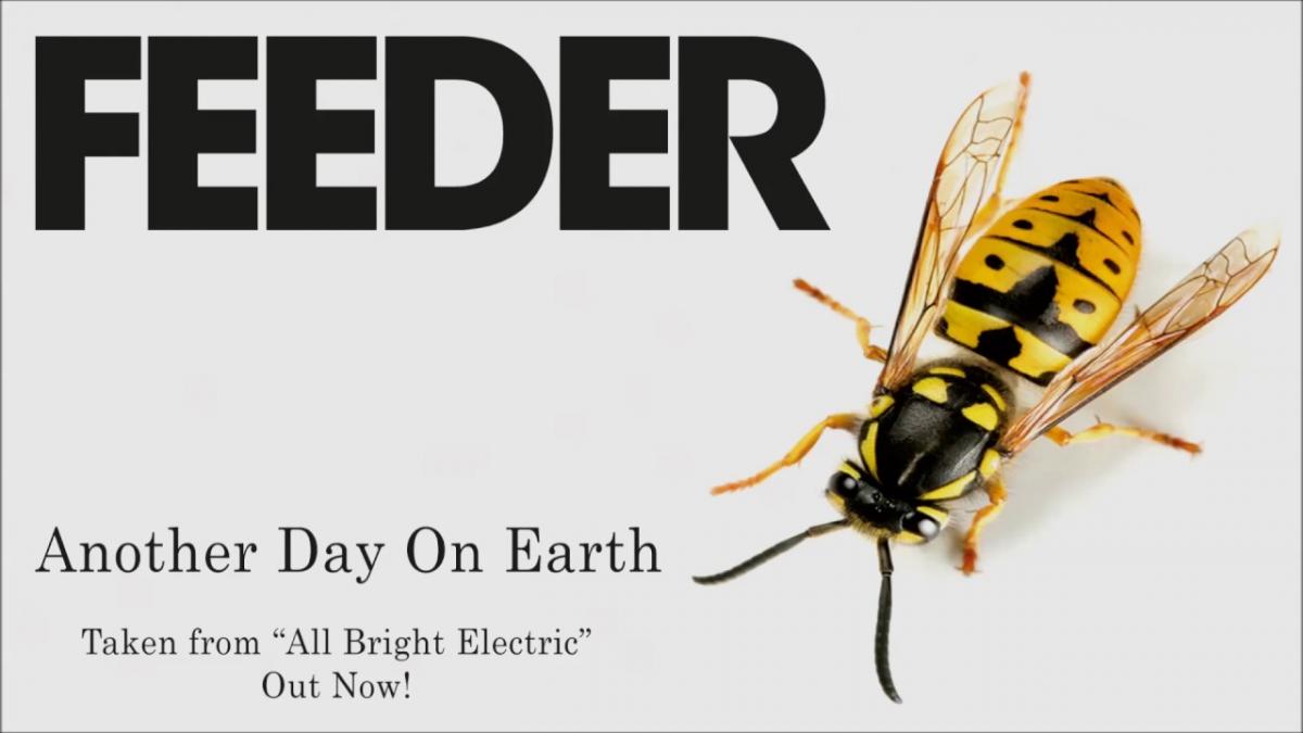 Feeder have announced their UK tour for March and April including Oxford's O2 Academy... We are excited!