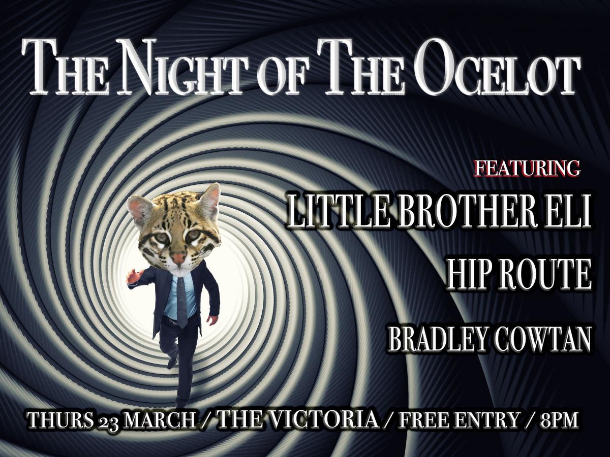 We are running a Night of The Ocelot at The Vic on March 23 - Free Entry, 16+, three incredible bands... What's not to like?!