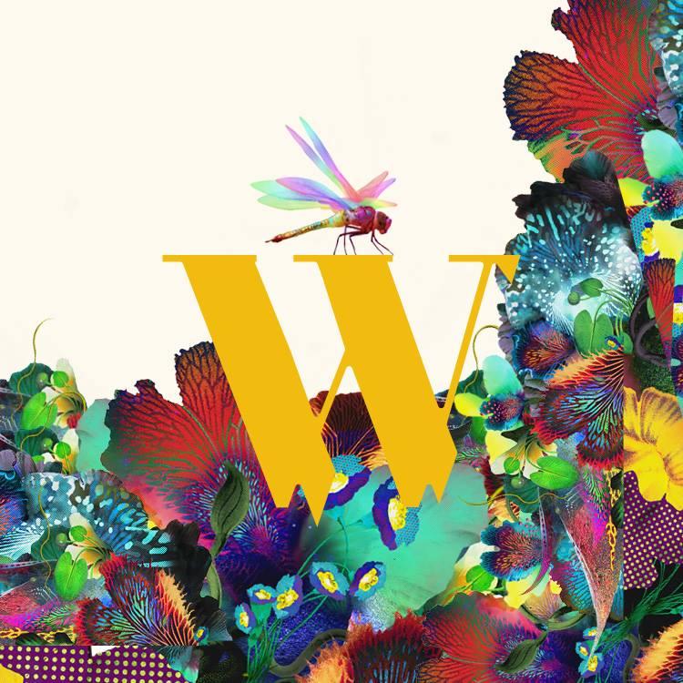Wilderness Festival announces 2017 lineup including Grace Jones and Two Door Cinema Club