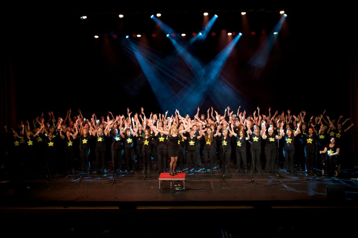 Local Rock Choir tour with award-winning vocal group Sons Of Pitches