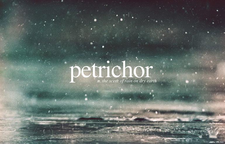 REVIEW: Rain - Petrichor (single)