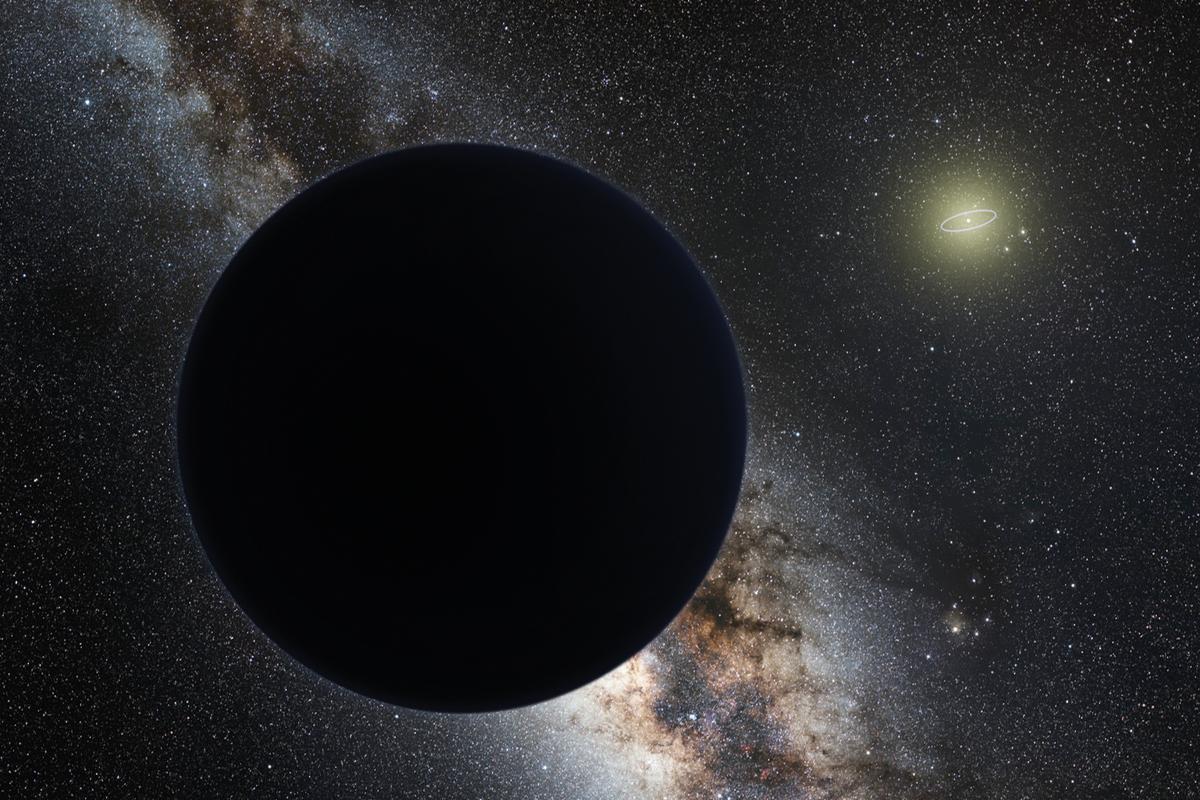 Encyclopedia Ocelotica: The search  for Planet Nine