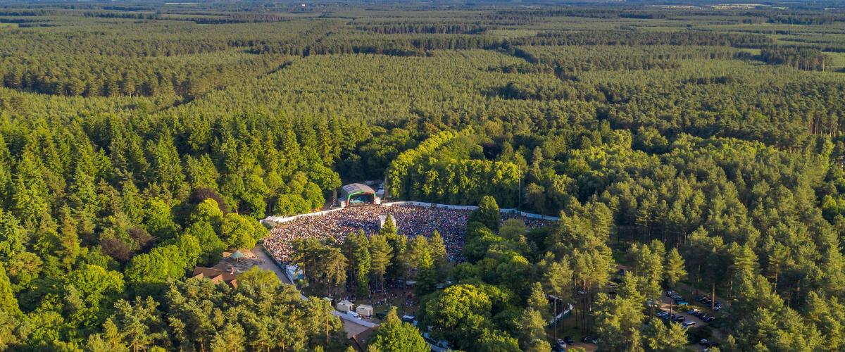 Forest Live 2020 cancelled